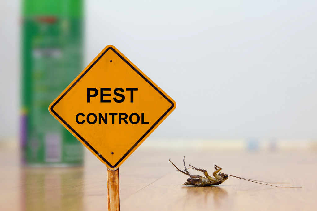 pest control sign and dead roach