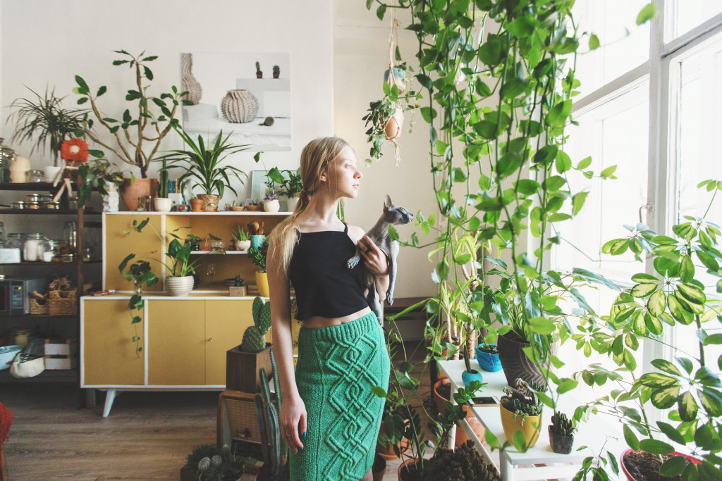 woman looking to a window with indoor plants around her