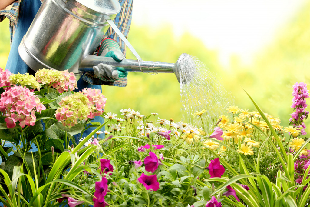 woman watering plants