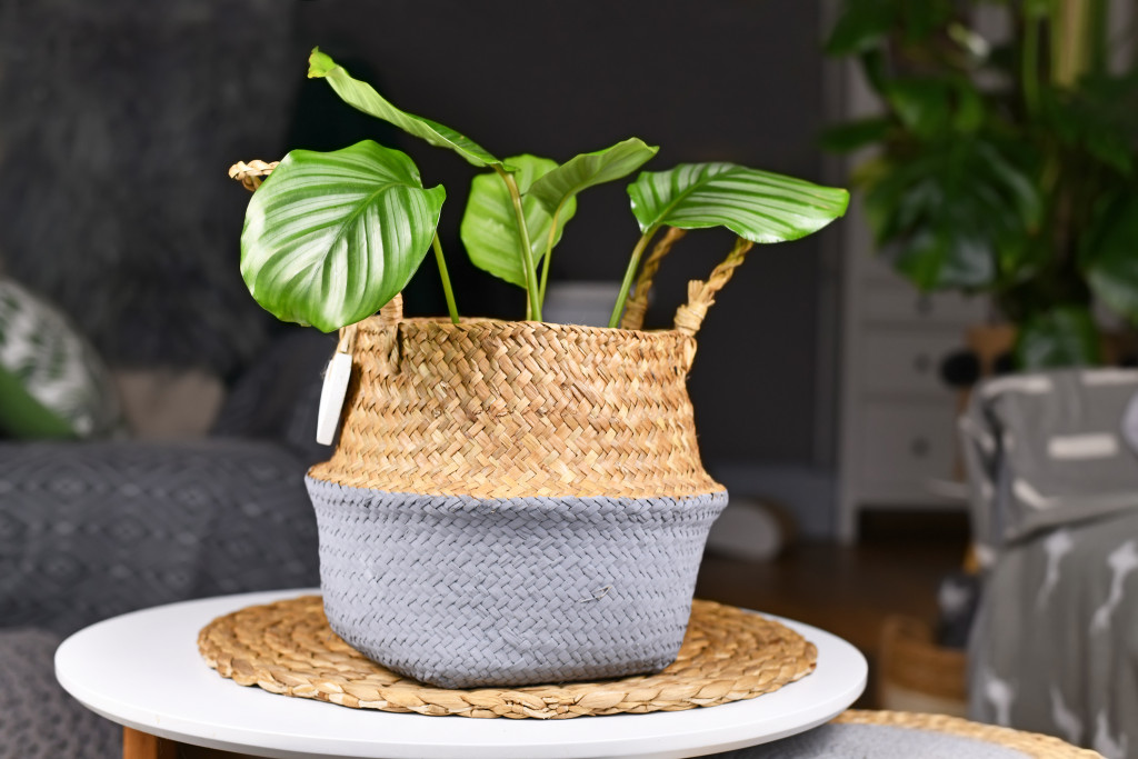 wooden plant pot