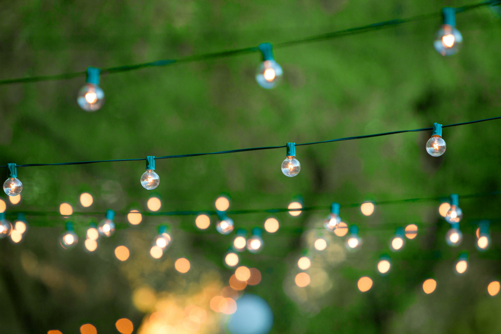 Pretty string lights under tree foliage