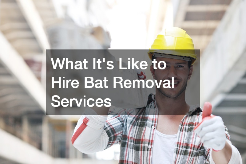 What It’s Like to Hire Bat Removal Services