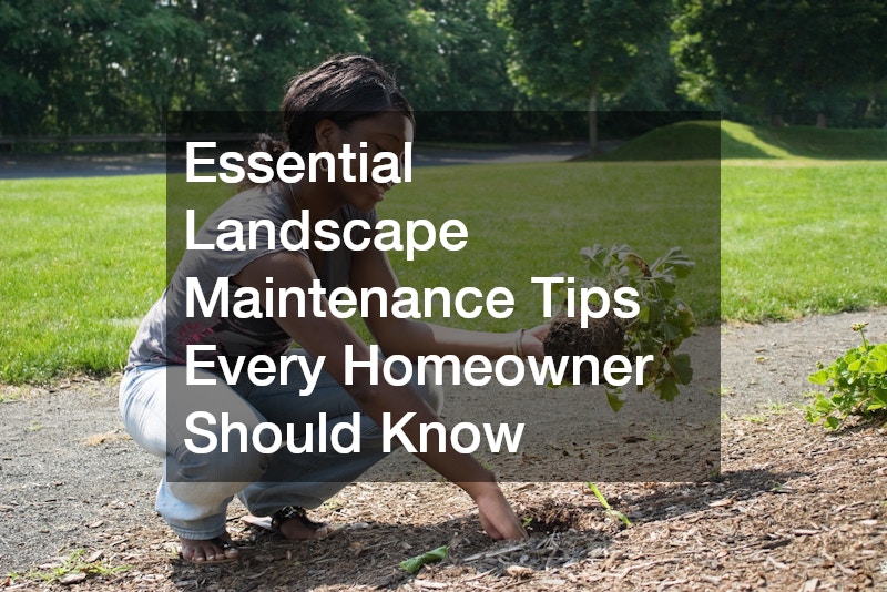 Essential Landscape Maintenance Tips Every Homeowner Should Know